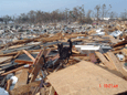 Dog working rubble site in Mississippi